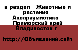  в раздел : Животные и растения » Аквариумистика . Приморский край,Владивосток г.